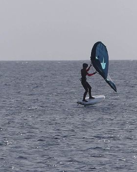 Wind Wings