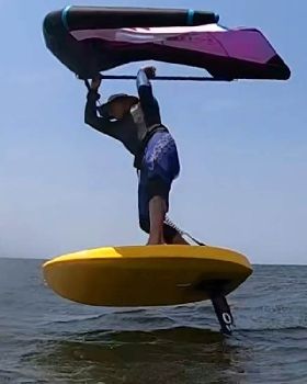 Wind Wings