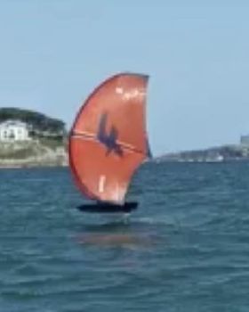 Wind Wings