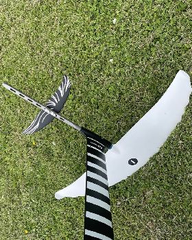 Wind Wings