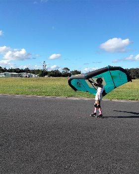 Wind Wings
