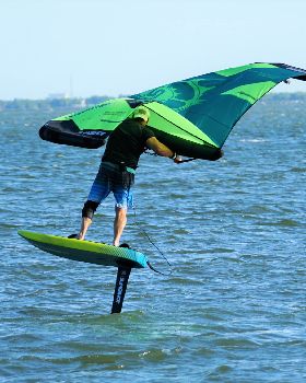 Wind Wings