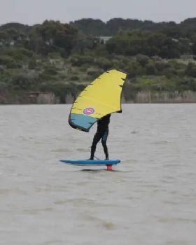 Wind Wings