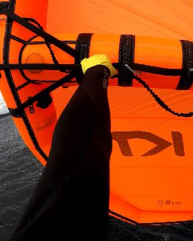Wind Wings