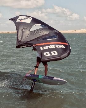 Wind Wings