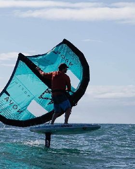 Wind Wings