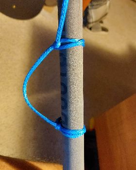 stinkbug loop