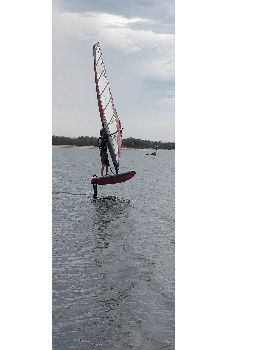 Wind Wings