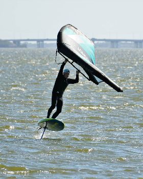 Wind Wings