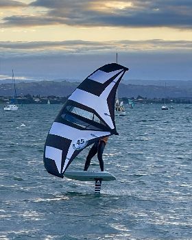 Wind Wings