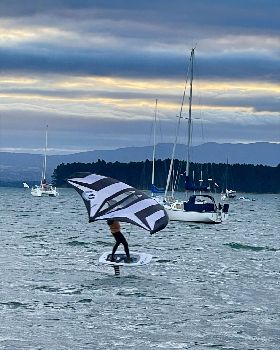 Wind Wings