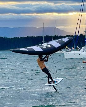 Wind Wings