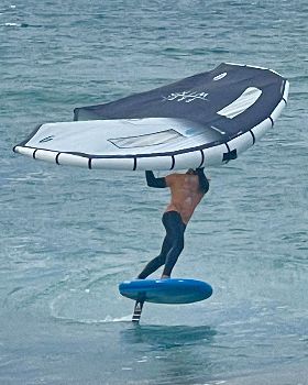 Wind Wings