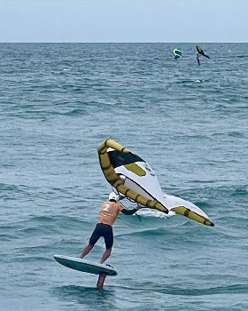 Wind Wings