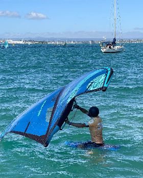 Wind Wings