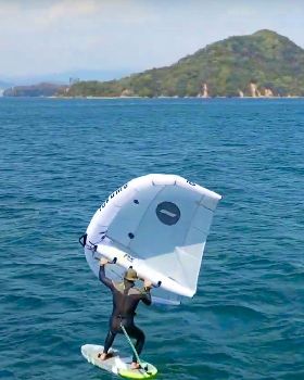 Wind Wings