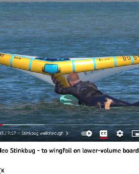 Stinkbug downwind