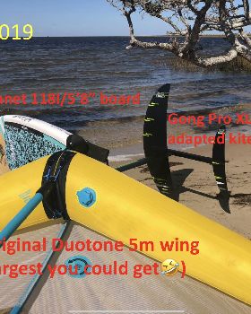 Wind Wings