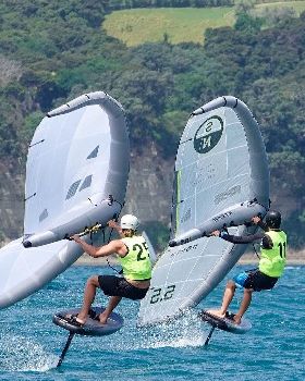 Wind Wings