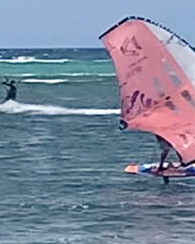 Wind Wings