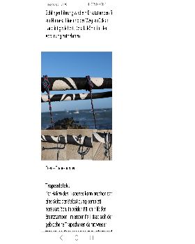 Screenshot20240405214155com.android.chrome
