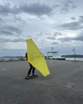 Wind Wings