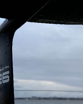 Wind Wings