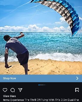 Wind Wings