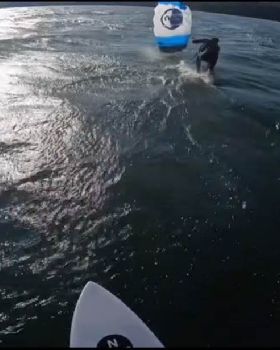 Wind Wings