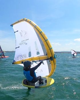 Wind Wings