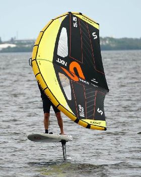 Wind Wings