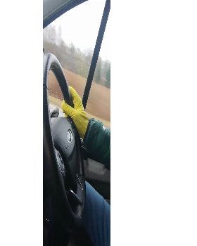 Wind Wings
