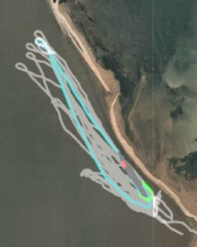Wind Wings
