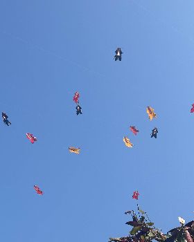 Wind Wings