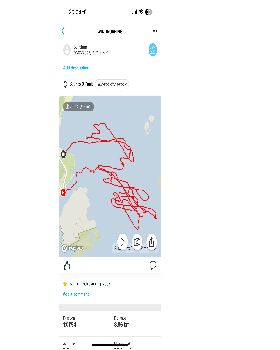 Wind Wings