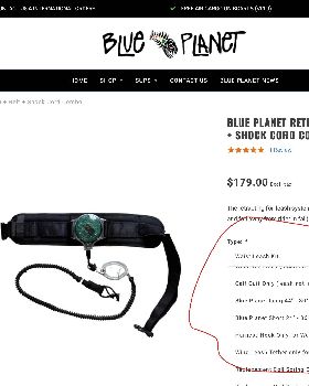 Screenshot14-7-2025152111www.blueplanetsurf.com
