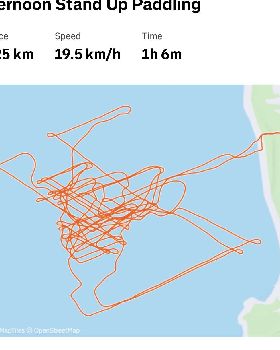 Wind Wings