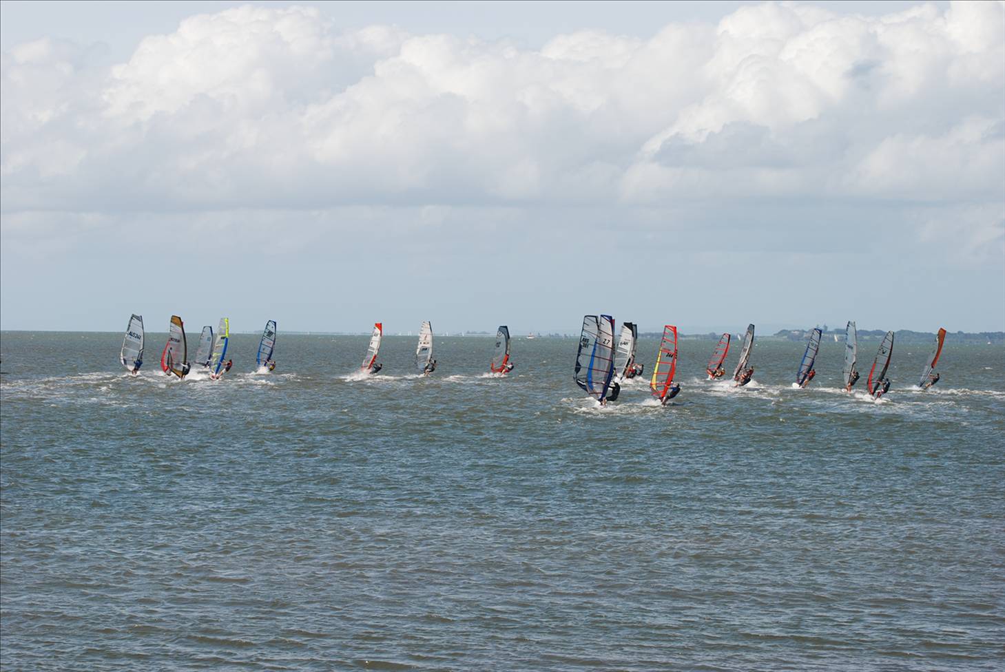 A couple of pics from the Waterloo Cup, Rose Bay, Manly