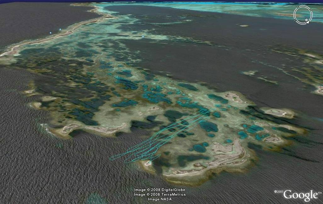 lonely.... isolated.... lots of coral.....lots of biteys...awesome!