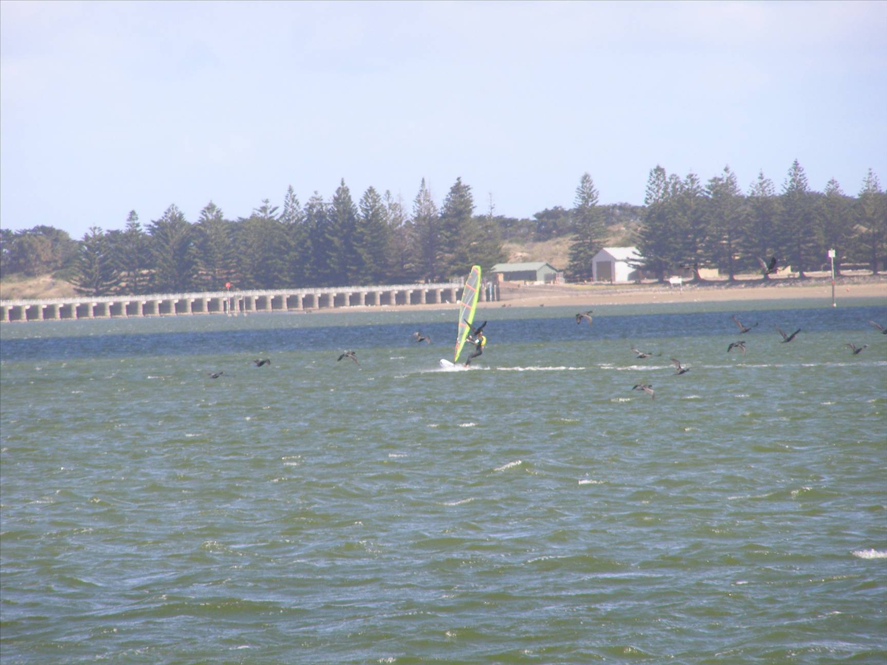 Dad (Peter) at Goolwa on the 22nd of November 2008