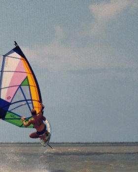 Manly 1990