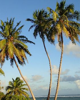 Cocos Lagoon Crossing 2015