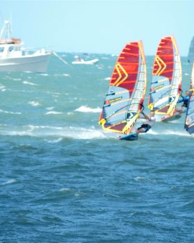 Bayside Slalom 15/11/2015