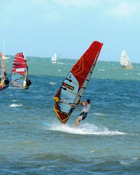 Bayside Slalom 15/11/2015
