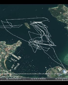 sail sydney