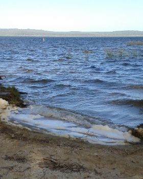 mill point shallow