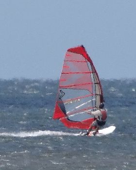 DSC05260