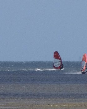 DSC05266