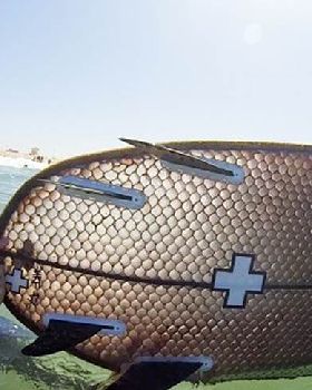 Signal-Snowboards-Ernest-Packaging-Solutions-Cardboard-Surfboard-2