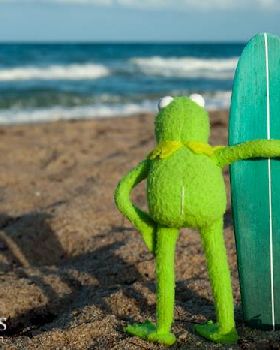 kermit-1258